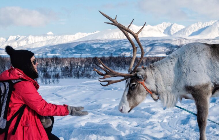 Unique Activities in the Arctic Winter