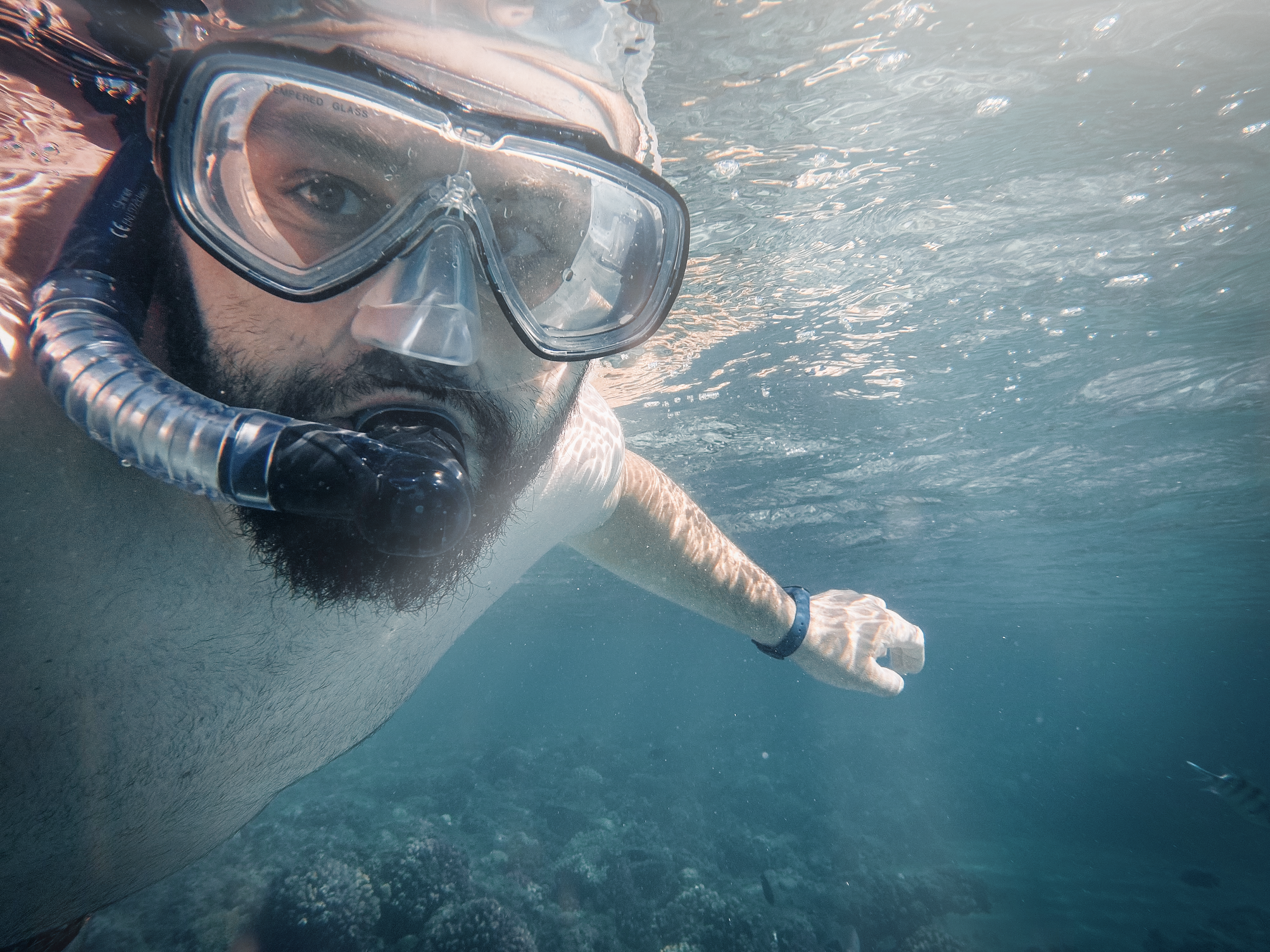 A traveler snorkeling among Red Sea marine life, showing the option to unwind by the coast during an Egypt trip.